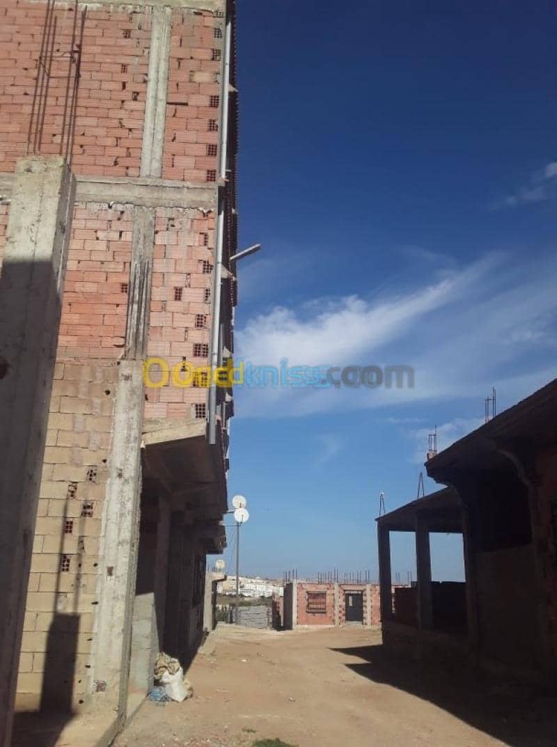 Vente Terrain Mostaganem Hassi maameche 2