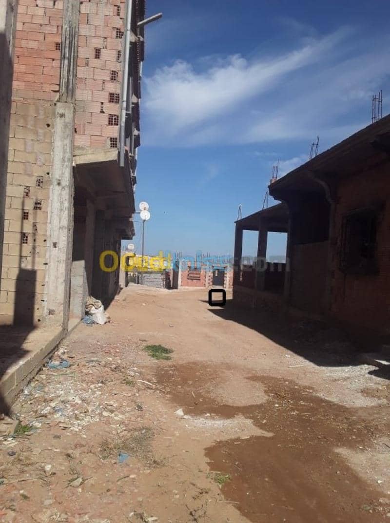 Vente Terrain Mostaganem Hassi maameche 3