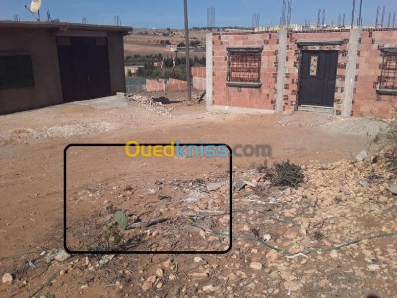 Vente Terrain Mostaganem Hassi maameche 4