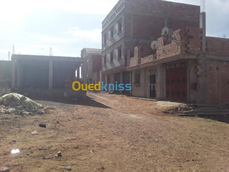 Vente Terrain Mostaganem Hassi maameche 6