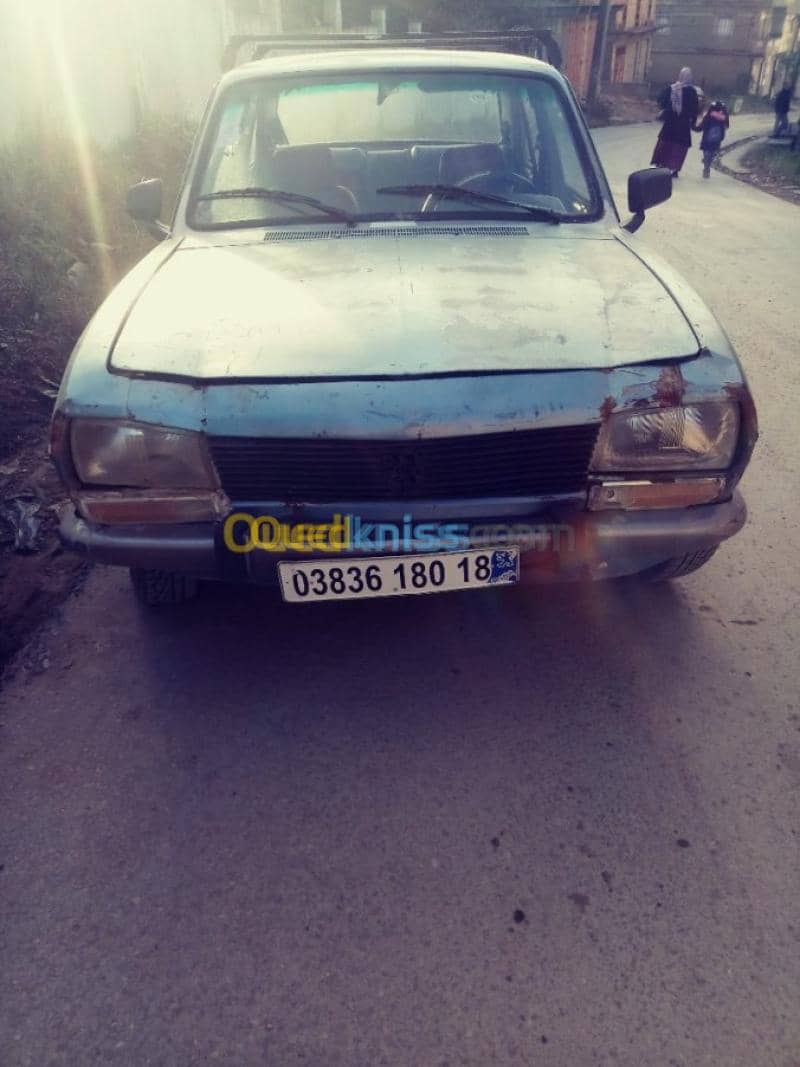 Peugeot 504 1980 14