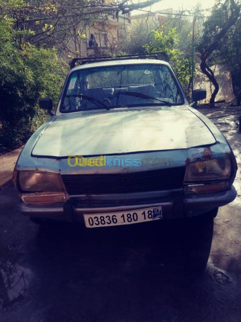 Peugeot 504 1980 6