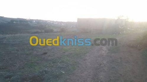 Vente Terrain Relizane Mazouna