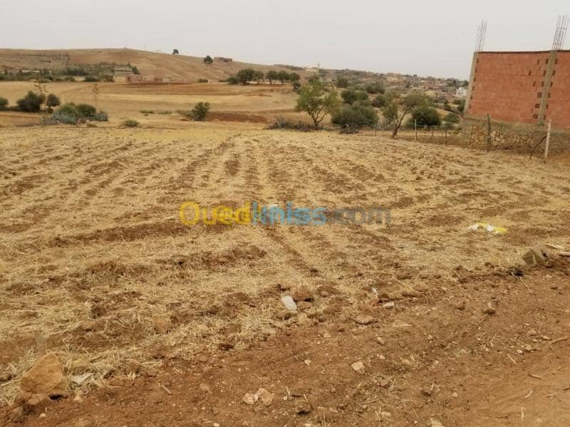 Vente Terrain Relizane Mazouna 10