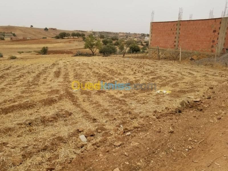 Vente Terrain Relizane Mazouna 11