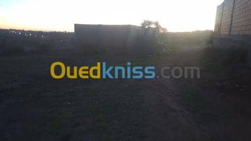 Vente Terrain Relizane Mazouna 2