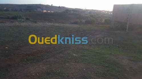 Vente Terrain Relizane Mazouna 3