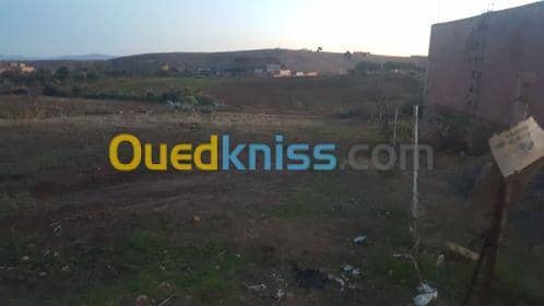Vente Terrain Relizane Mazouna 4