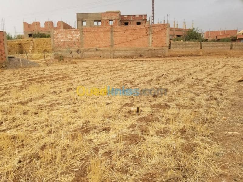 Vente Terrain Relizane Mazouna 8