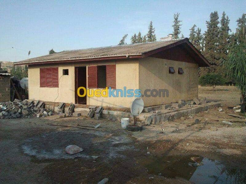 Vente Bungalow Chlef Chettia 16