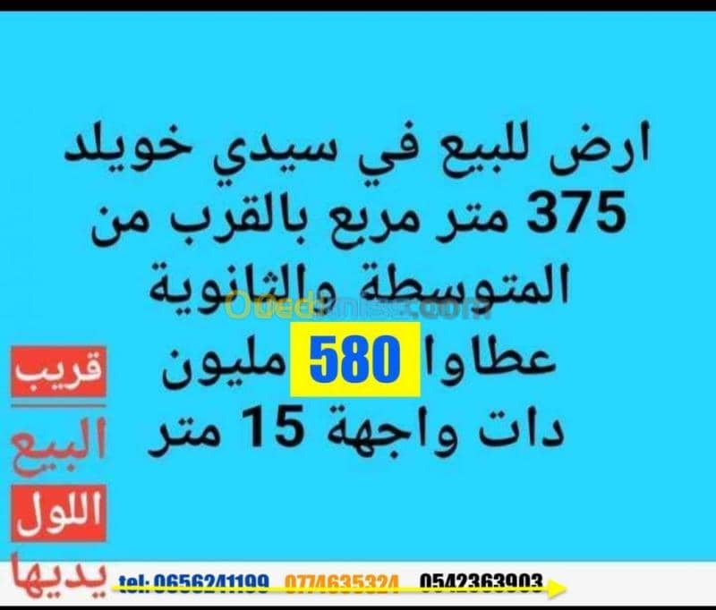 Vente Terrain Ouargla Sidi khouiled 2
