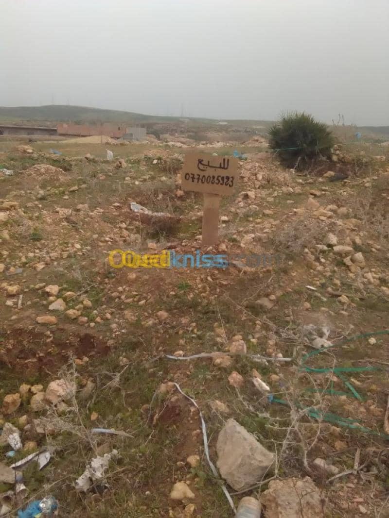 Vente Terrain Ain temouchent Sidi safi 2