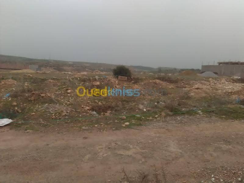 Vente Terrain Ain temouchent Sidi safi 3