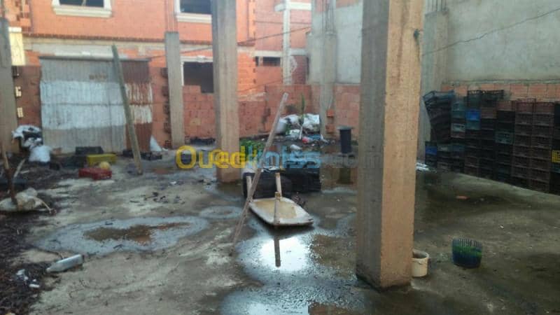 Vente Villa Tipaza Fouka 7