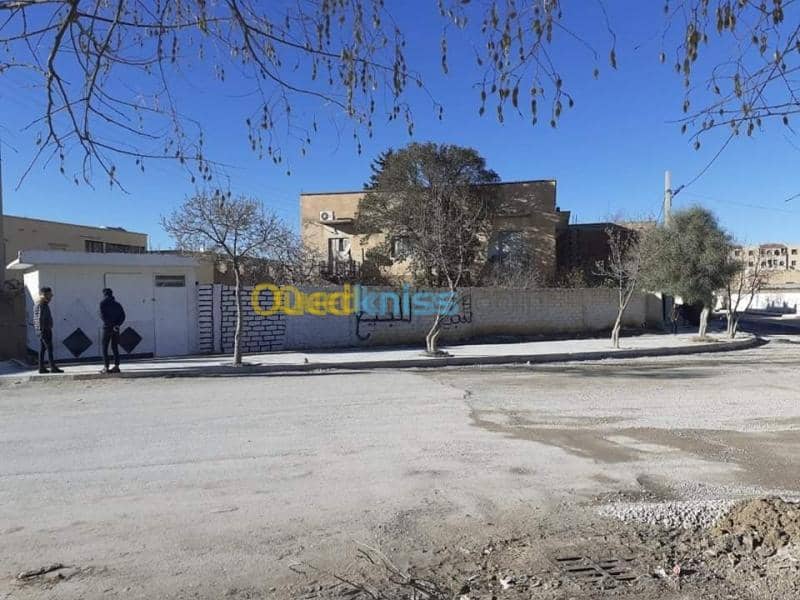 Vente Appartement F11 Tebessa Bekkaria