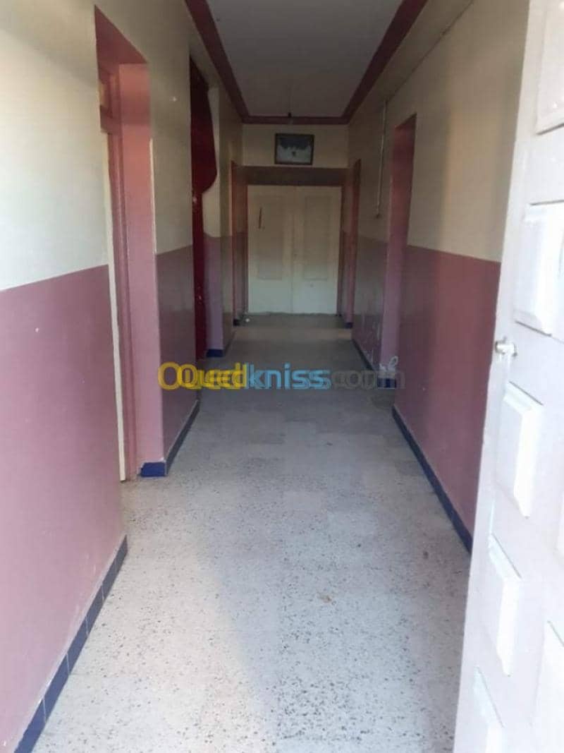 Vente Appartement F11 Tebessa Bekkaria 3
