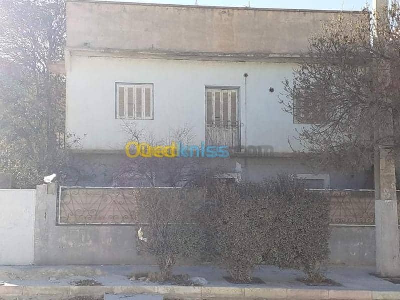 Vente Appartement F11 Tebessa Bekkaria 4