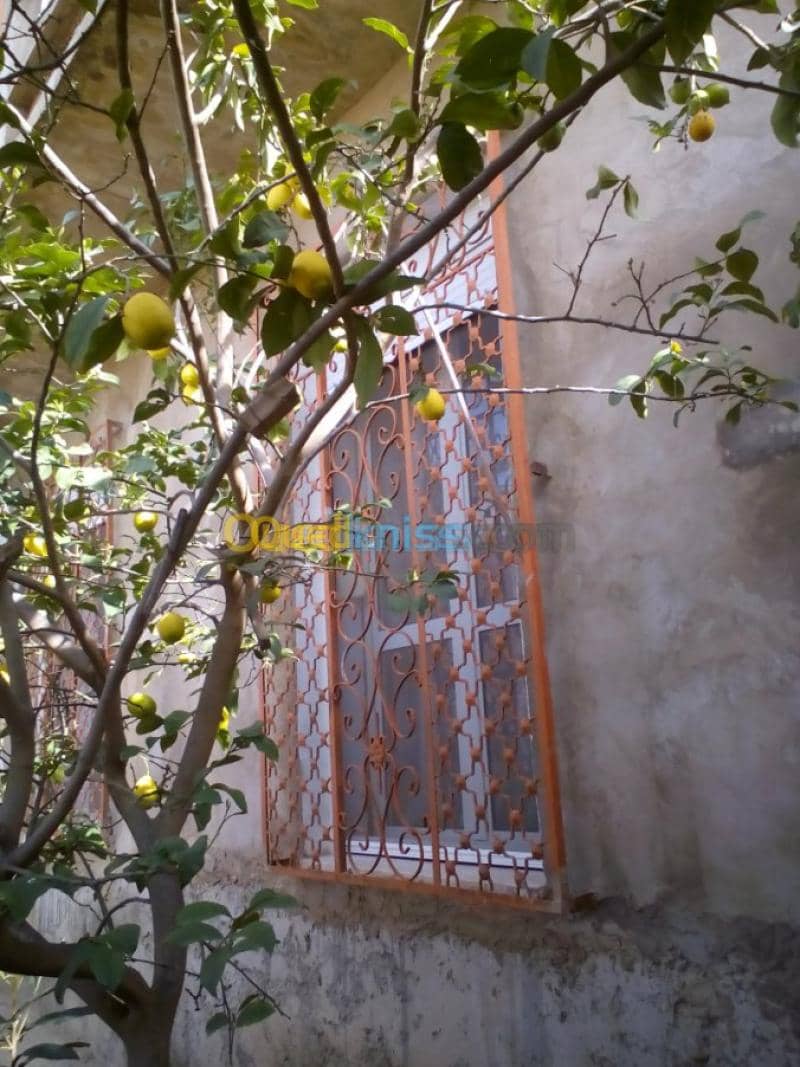 Vente Villa Skikda El Hadaiek 26