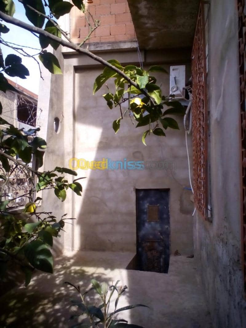Vente Villa Skikda El Hadaiek 28