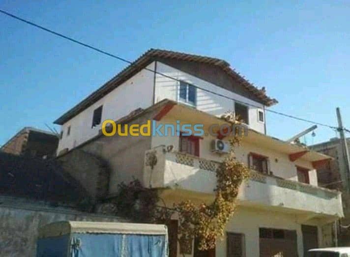 Vente Carcasse Chlef Chettia 11