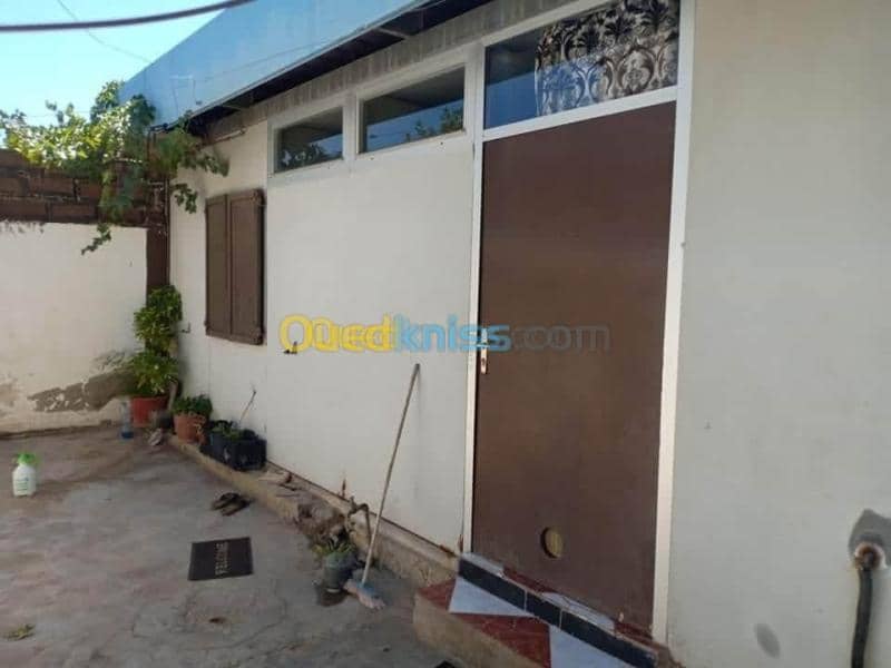 Vente Carcasse Chlef Chettia 12