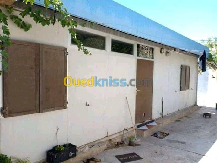 Vente Carcasse Chlef Chettia 5