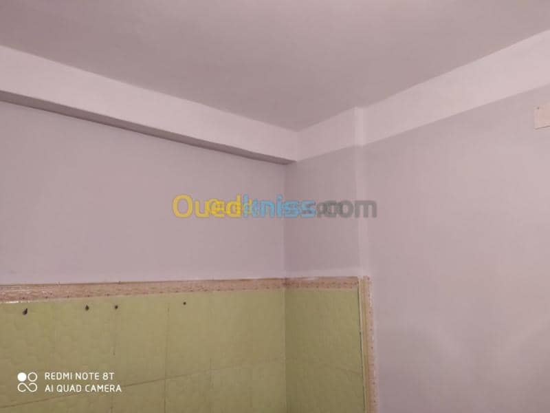 Vente Appartement F3 Mila Terrai bainem