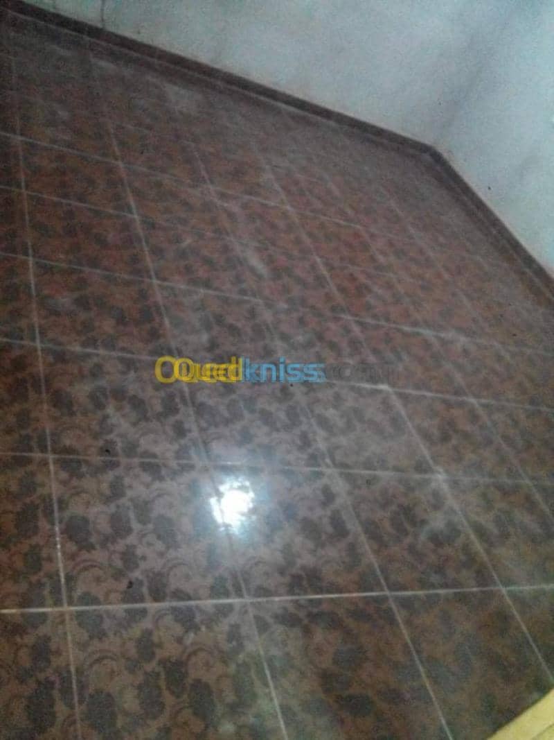Vente Villa Batna Barika 7