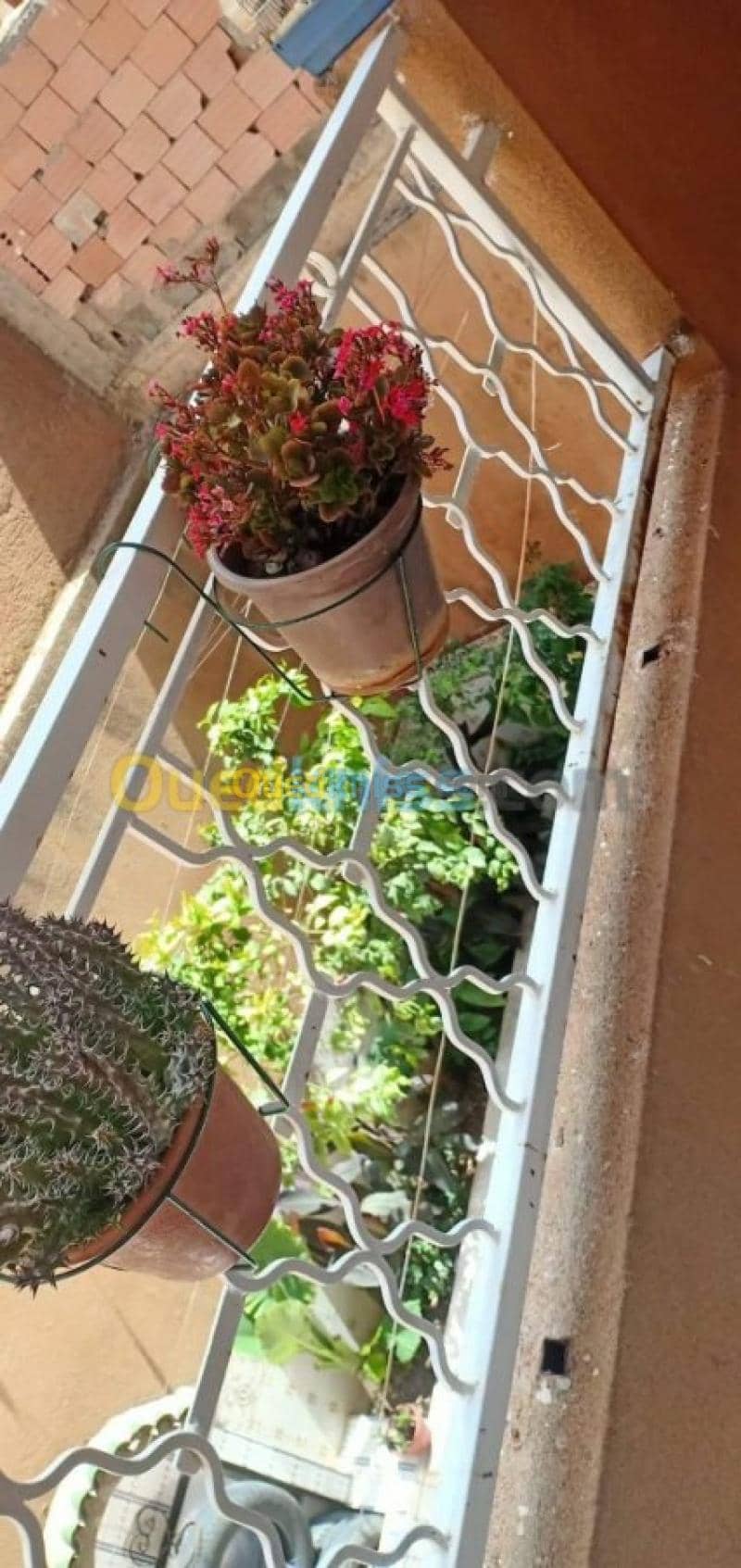 Vente Villa Ain temouchent Ain temouchent 8