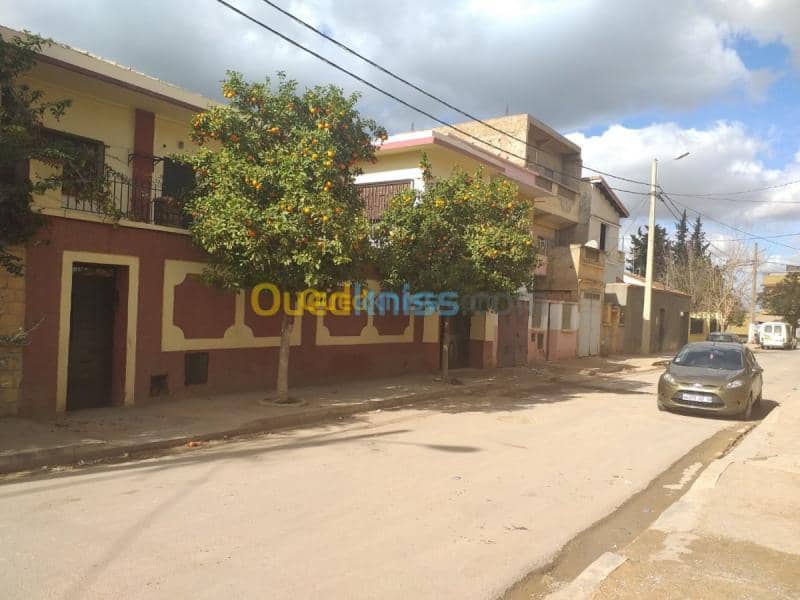 Vente Villa Mascara Mohammadia 9