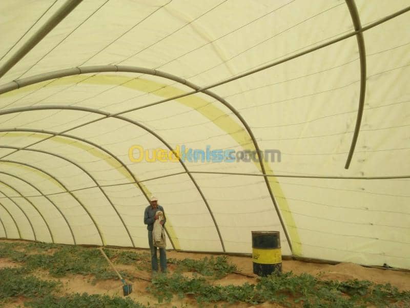 Location Terrain Agricole Ouargla Ouargla 10