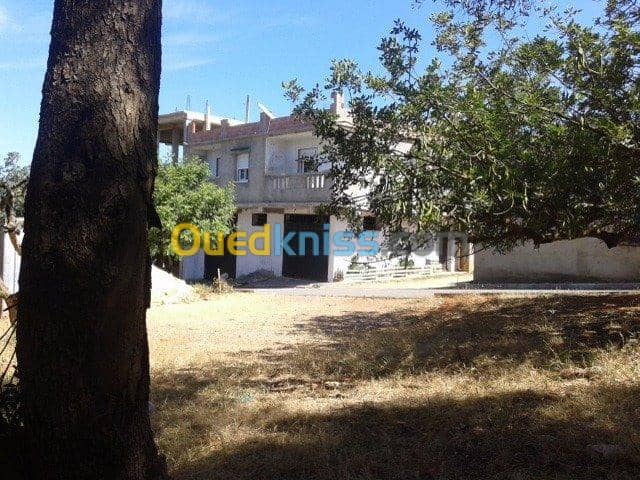 Vente Villa Tipaza Bou ismail 12