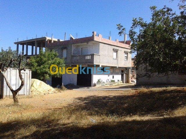 Vente Villa Tipaza Bou ismail 9
