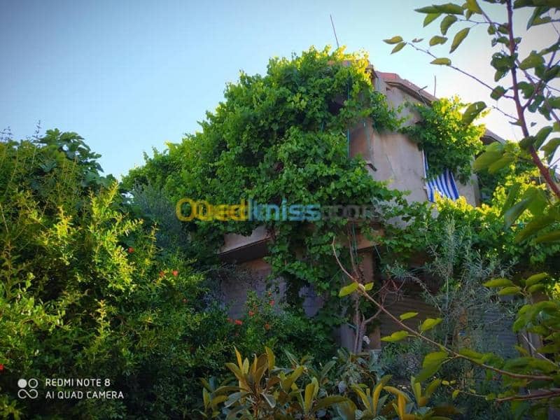 Vente Niveau De Villa F4 Mila Ain beida harriche 4