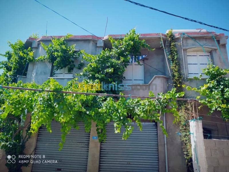 Vente Niveau De Villa F4 Mila Ain beida harriche 9
