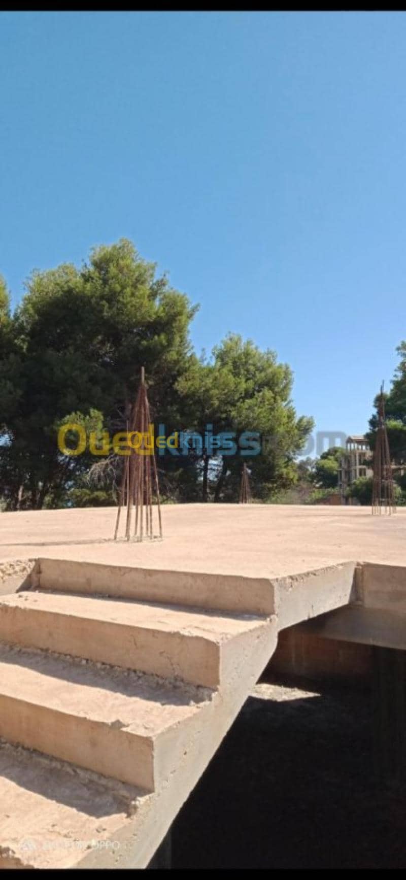 Vente Carcasse Tipaza Tipaza