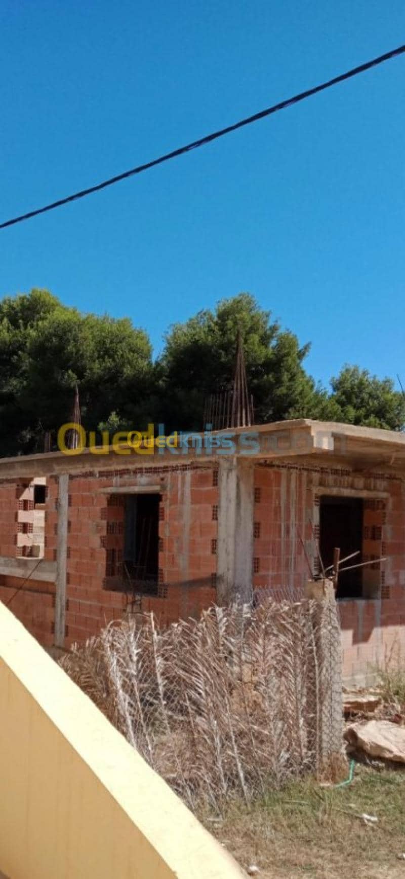 Vente Carcasse Tipaza Tipaza 3
