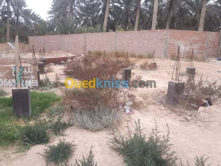 Vente Terrain Biskra Tolga 3