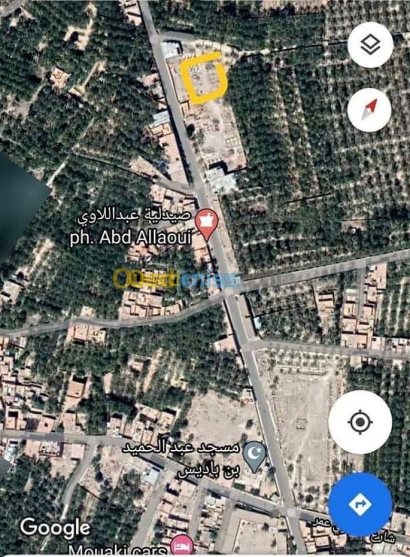 Vente Terrain Biskra Tolga 4