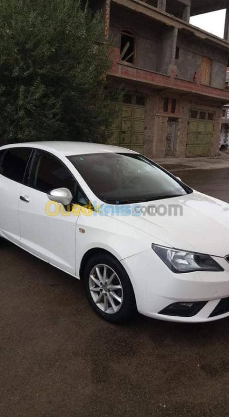 Seat Ibiza Fully 2013 Seat Ibiza Fully 2013 2013 2
