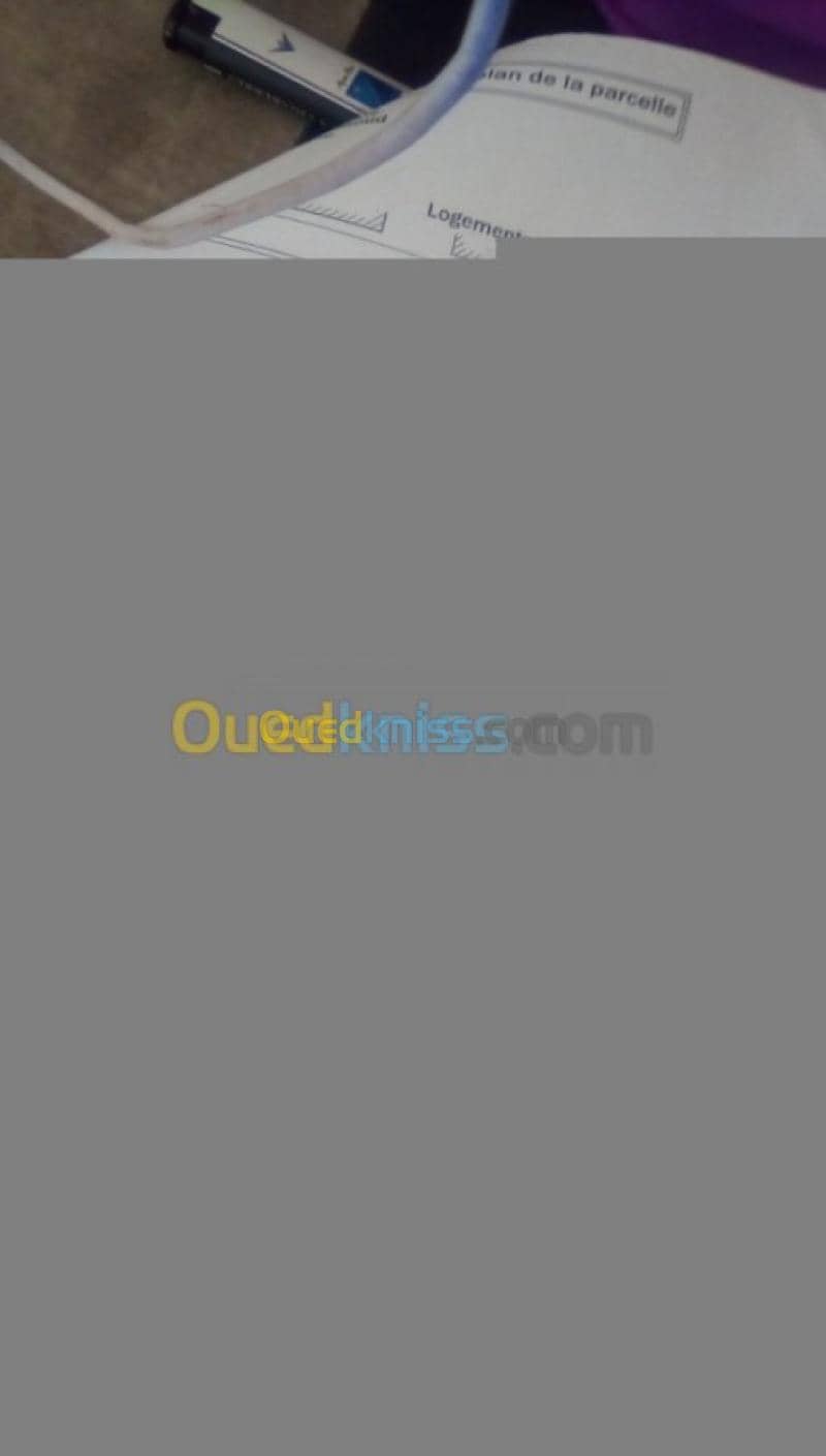Vente Terrain Relizane Bendaoud