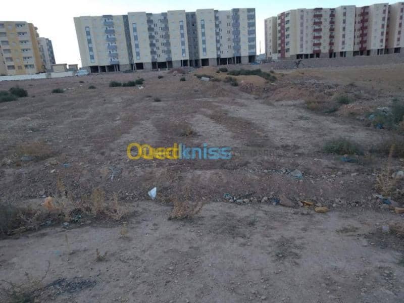 Vente Terrain Relizane Bendaoud 2