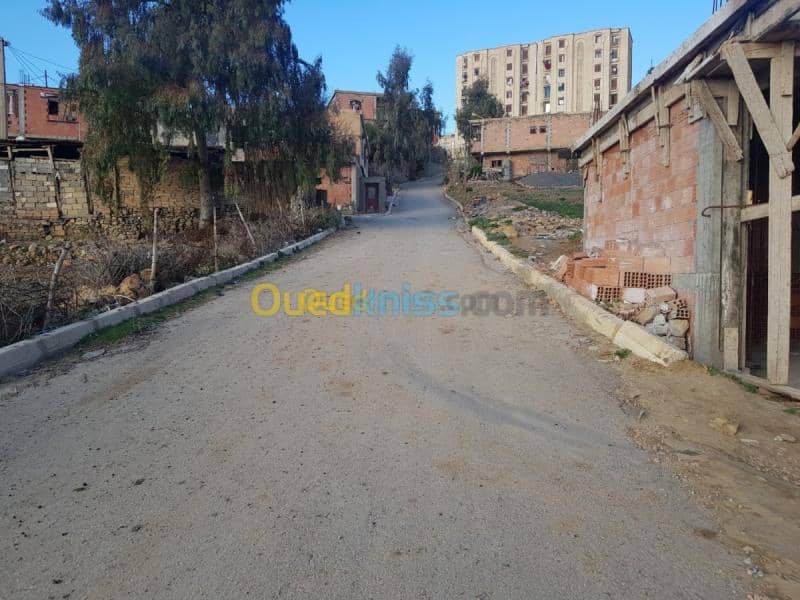 Vente Terrain Medea Medea 4