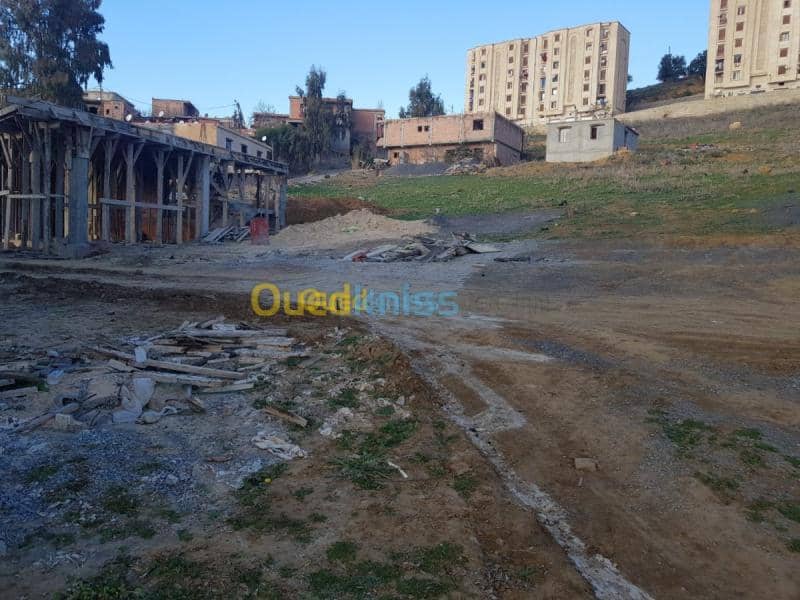 Vente Terrain Medea Medea 7