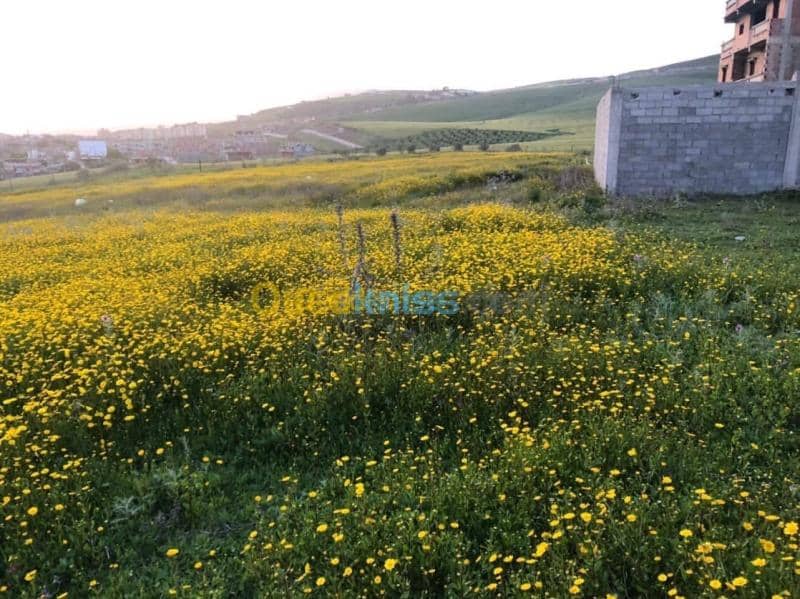 Vente Terrain Mila Grarem gouga