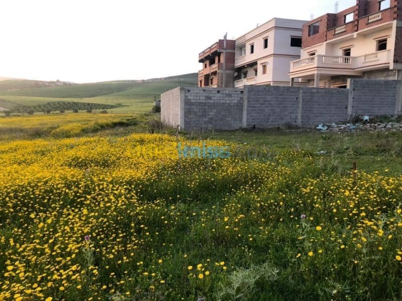 Vente Terrain Mila Grarem gouga 4