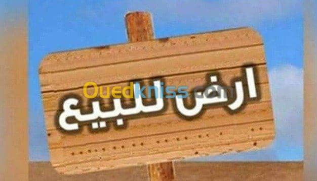 Vente bien immobilier Ain temouchent Beni saf