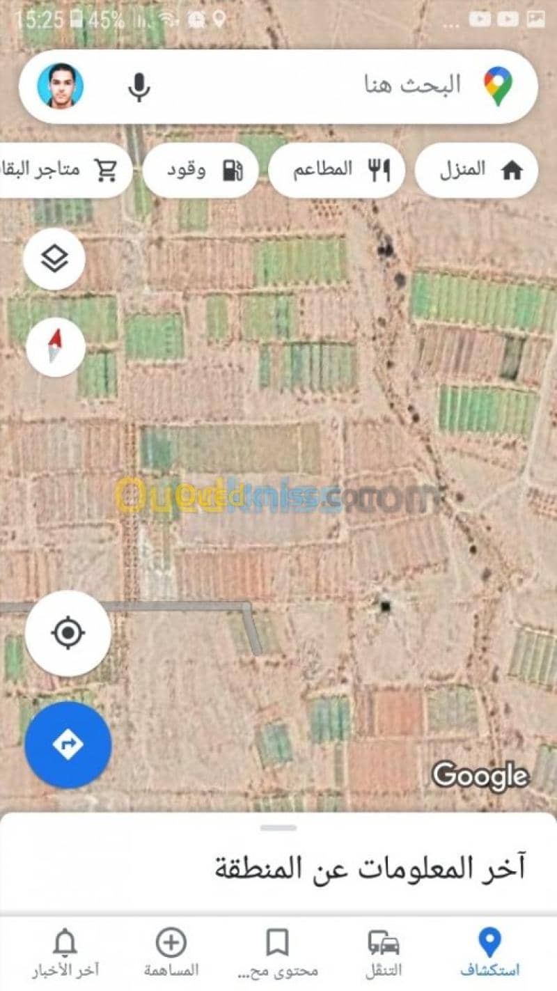 Vente Terrain Agricole Biskra El ghrous 4