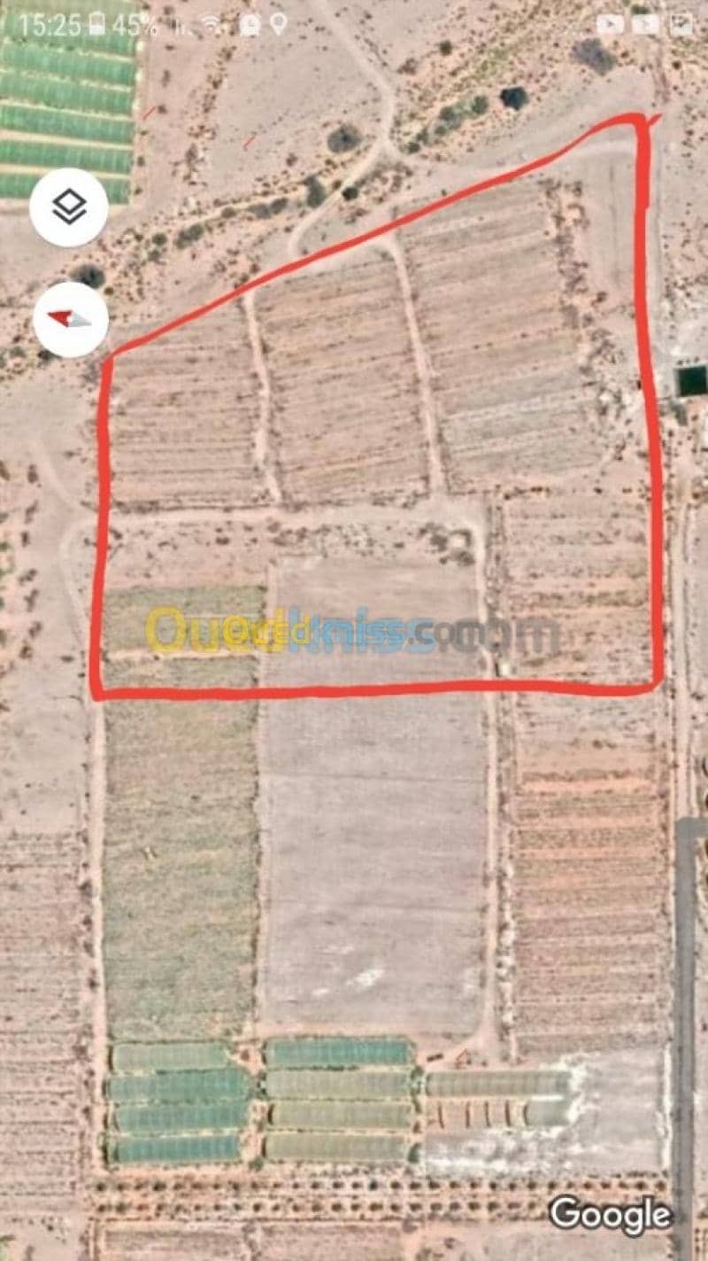 Vente Terrain Agricole Biskra El ghrous
