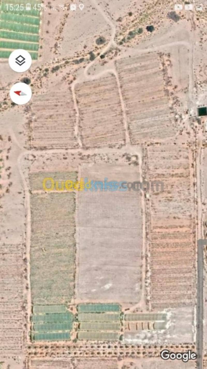Vente Terrain Agricole Biskra El ghrous 3